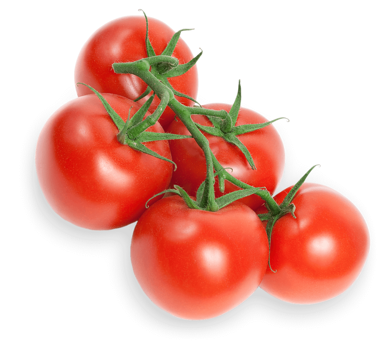 Tomato-on-the-Vine | Lipman Family Farms